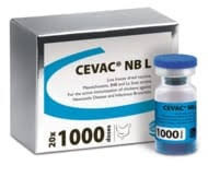NBL 1000 DOSES