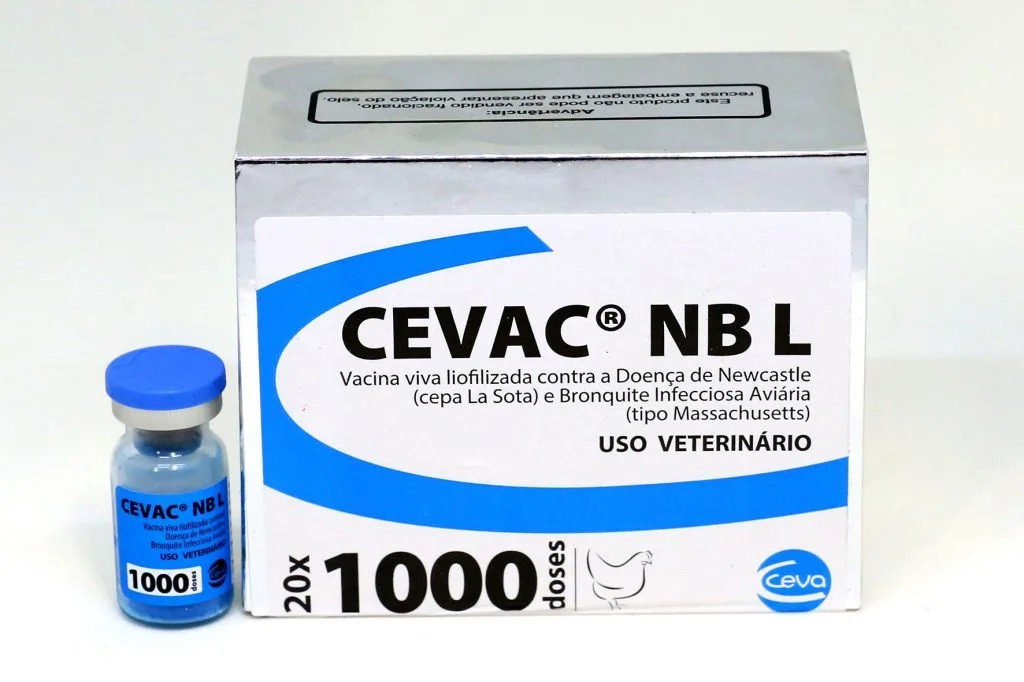 NBL 1000 DOSES