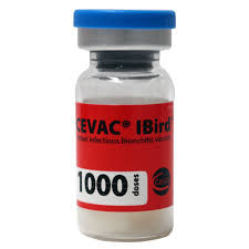 IBIRD 1000 DOSES