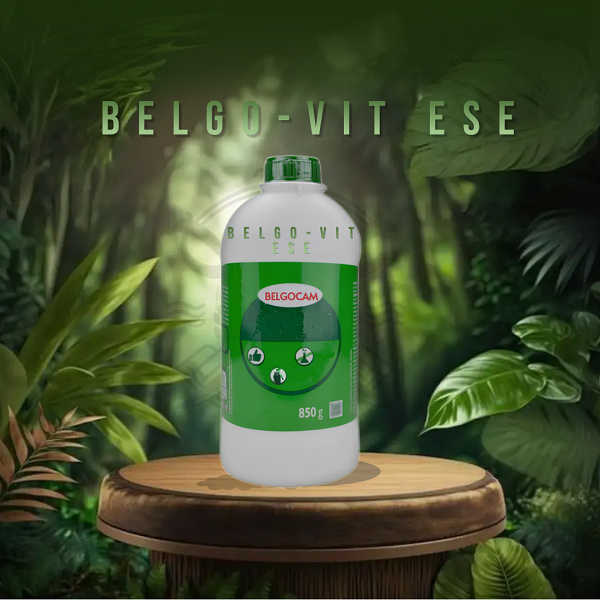 BELGO-VIT ESE