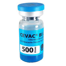 BIL 500 DOSES