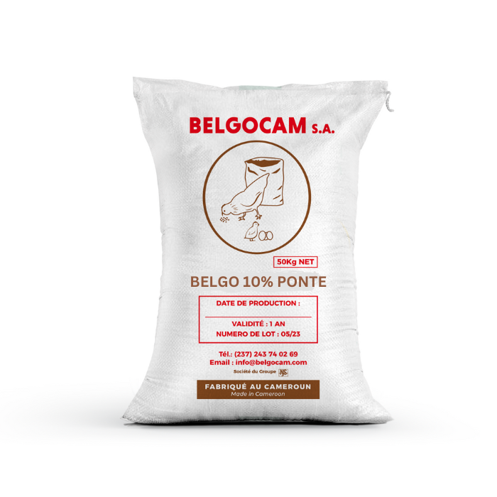 BELGO 10% PONTE 50kg