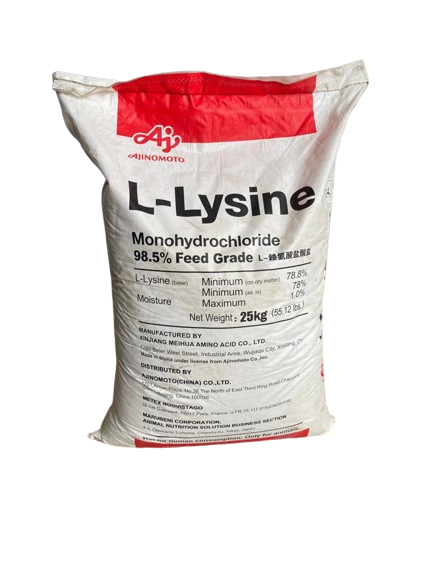 L-LYSINE 25kg