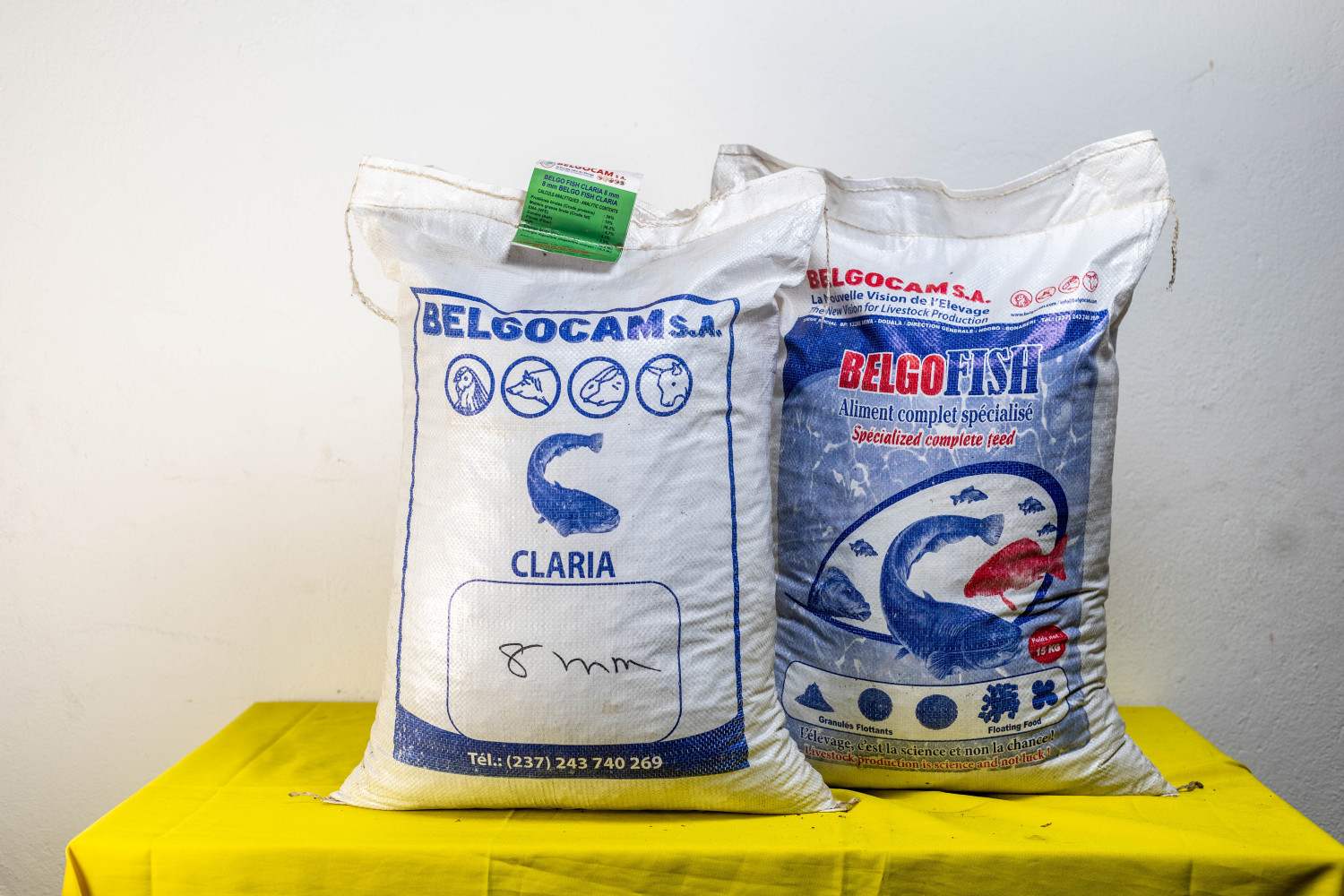 BELGO FISH CLARIAS 2mm 5kg