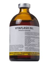 VITAFLASH INJ 100 ML