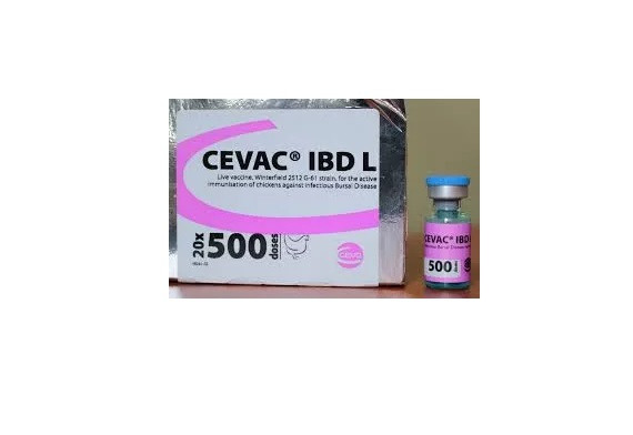 IBDL 500 DOSES