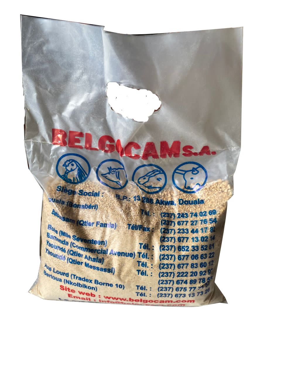BELGO 10% PONTE 5KG