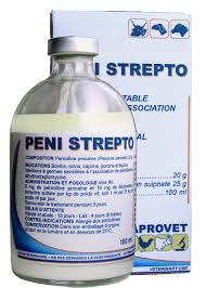 PENI STREPTO 100 ML